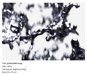 Shadi Hamama primordial soup