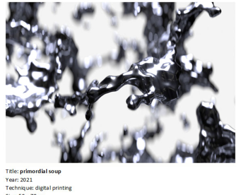 Shadi Hamama primordial soup