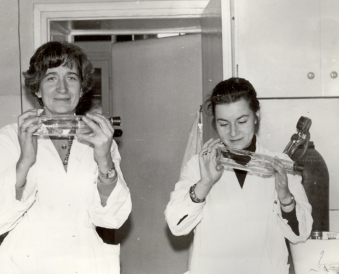 Barbara Grzelakowska-Sztabert 1